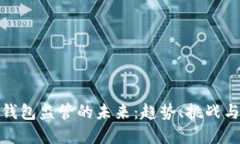 数字钱包监管的未来：趋势、挑战与应对