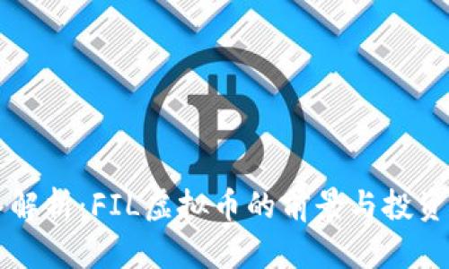 深入解析：FIL虚拟币的前景与投资指南