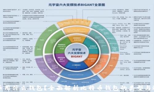 
玩比特币用什么钱包？全面解析比特币钱包的类型与选择指南