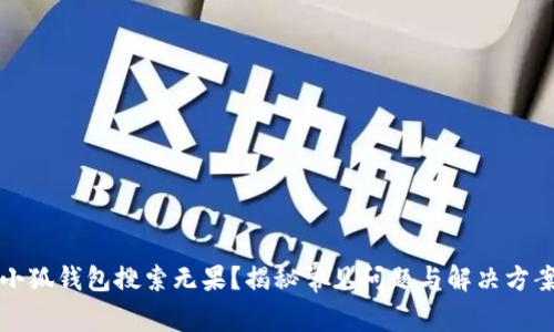 小狐钱包搜索无果？揭秘常见问题与解决方案