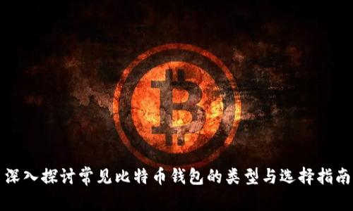 深入探讨常见比特币钱包的类型与选择指南