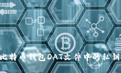 如何导出比特币钱包DAT文件中的私钥：详细指南