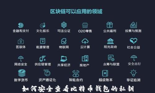 
如何安全查看比特币钱包的私钥