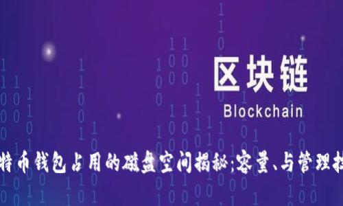 比特币钱包占用的磁盘空间揭秘：容量、与管理技巧