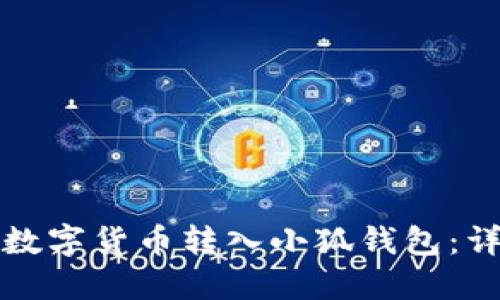 如何将数字货币转入小狐钱包：详尽指南