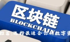 虚拟币钱包推荐：选择最适合你的数字资产管理