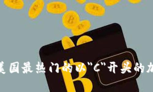 : 探索美国最热门的以