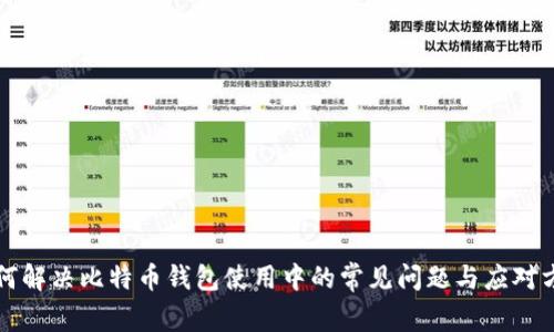 如何解决比特币钱包使用中的常见问题与应对方法