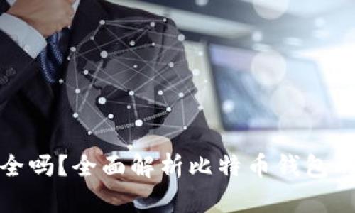 比特币接收钱包安全吗？全面解析比特币钱包的安全性与保护措施