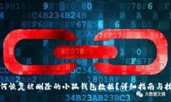 如何恢复被删除的小狐钱包数据？详细指南与技