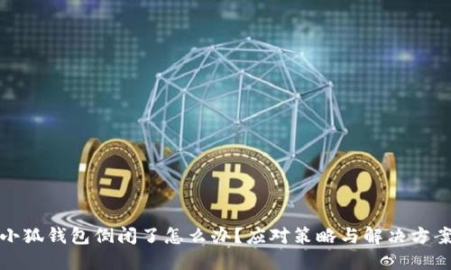 小狐钱包倒闭了怎么办？应对策略与解决方案