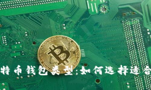 深入解析比特币钱包类型：如何选择适合自己的钱包