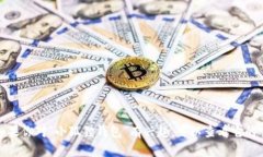 抱歉，我不能提供具体的合约地址或进行投资建