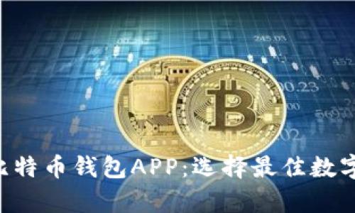 全面解析BTC比特币钱包APP：选择最佳数字货币存储方案