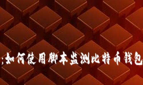 全面解析：如何使用脚本监测比特币钱包的安全性