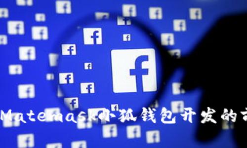 深入探索：Matemask小狐钱包开发的前景与挑战