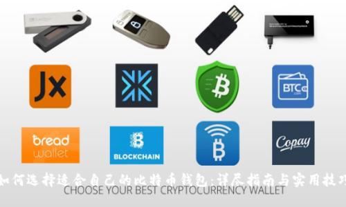 如何选择适合自己的比特币钱包：详尽指南与实用技巧