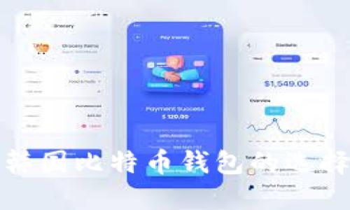 深入探讨韩国比特币钱包的选择与安全性