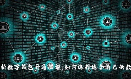 全面解析数字钱包开通限额：如何选择适合自己的数字钱包
