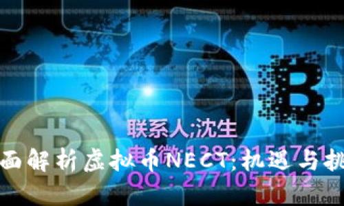 全面解析虚拟币NECT：机遇与挑战