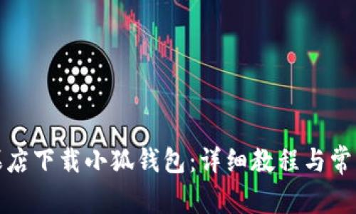 如何在苹果店下载小狐钱包：详细教程与常见问题解答