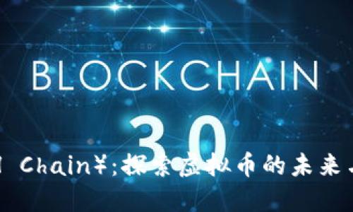 H链（H Chain）：探索虚拟币的未来与应用