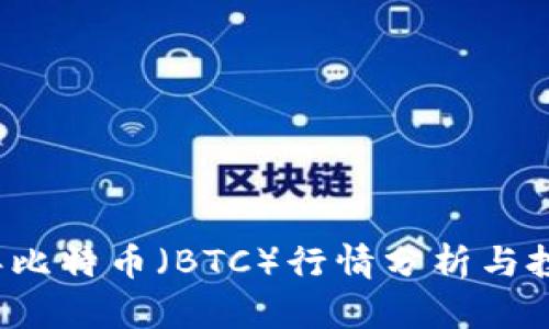 2023年比特币（BTC）行情分析与投资指南