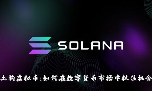 土狗虚拟币：如何在数字货币市场中抓住机会