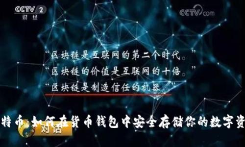 比特币：如何在货币钱包中安全存储你的数字资产
