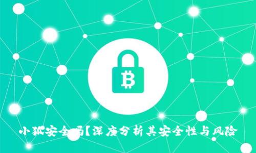 小狐安全吗？深度分析其安全性与风险